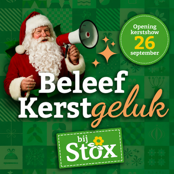 Opening kerstshows bijSTOX