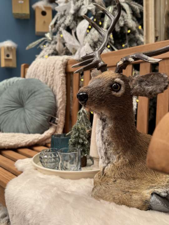 Rode en groene kerstdecoratie