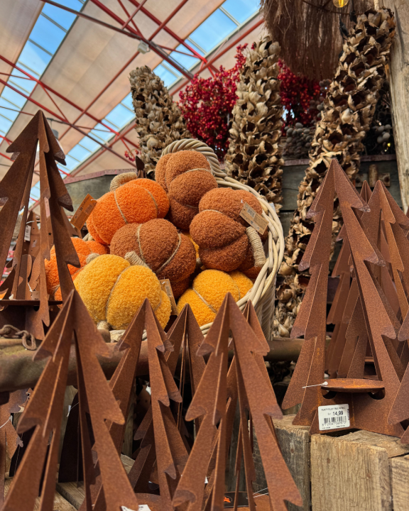 Sfeervolle decoratie voor het nieuwe herfstseizoen