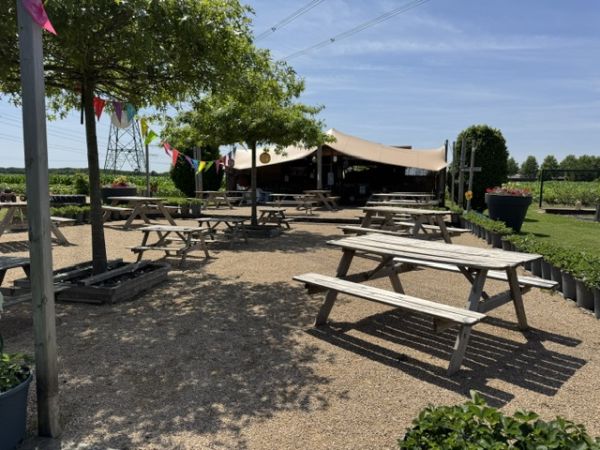 Pluktuin terras bijSTOX in Maasbracht