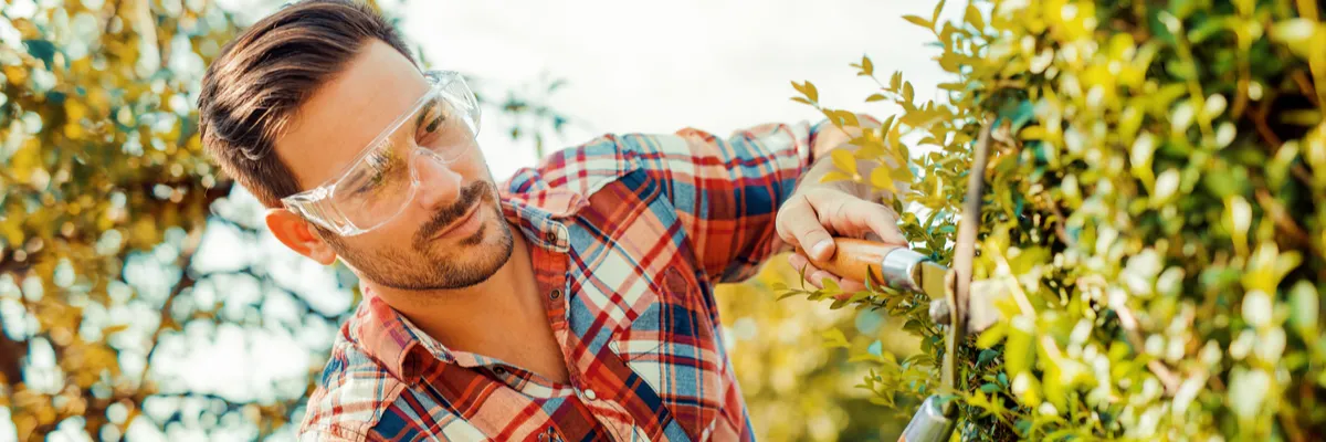 Wanneer moet ik mijn plant snoeien? | bijSTOX - hét tuincentrum voor heel Nederland