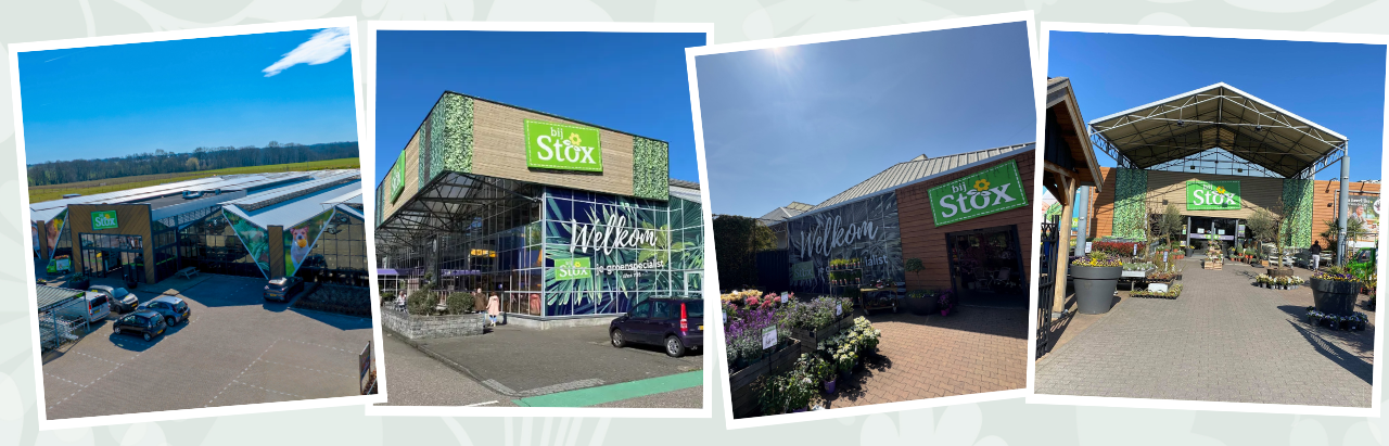 Tuincentrum Limburg | 4 vestigingen bijSTOX