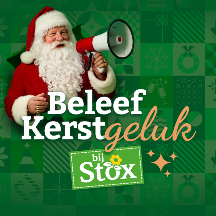 Kerstshows bijSTOX