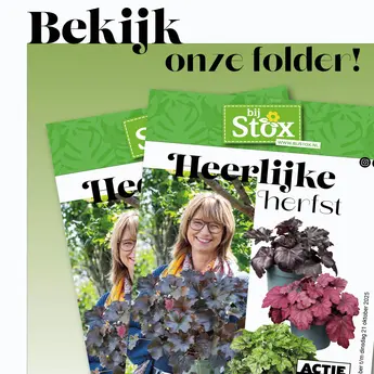 Bekijk de nieuwste folder!