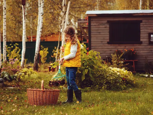 15 tuintips voor november