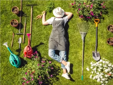 De perfecte planttijd: waarom dít het moment is om aan te planten