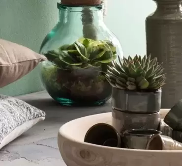 DIY: Terrarium maken