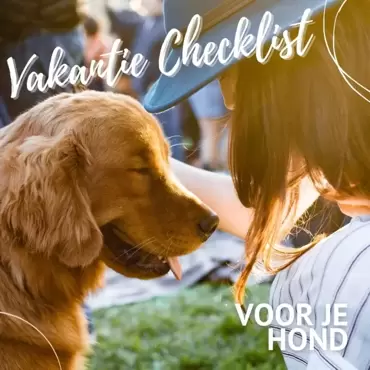 Met je hond op vakantie. Download onze vakantiechecklist!