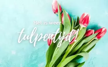 Tijd voor tulpen!