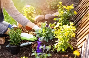 Tuintips augustus