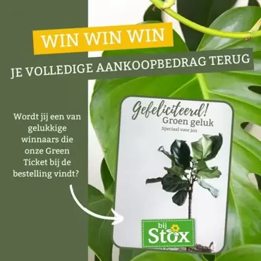 Win je volledige aankoopbedrag terug!