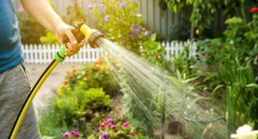 Zo voorkom je dat jouw planten bezwijken onder de hitte