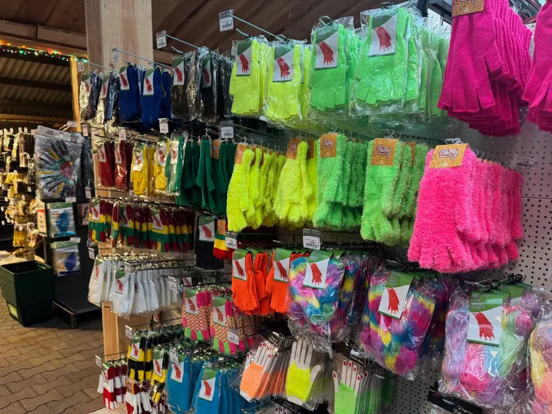 Carnaval 2025 - accessoires