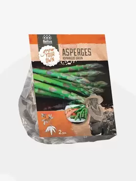Asparagus Groen per 2 stuks