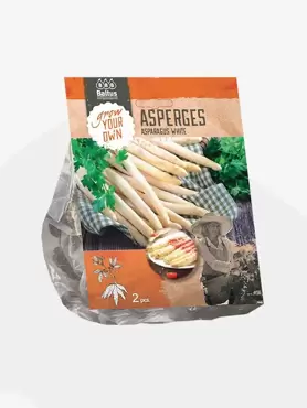 Asparagus Wit per 2 stuks