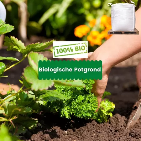 Biologische Potgrond 1m3