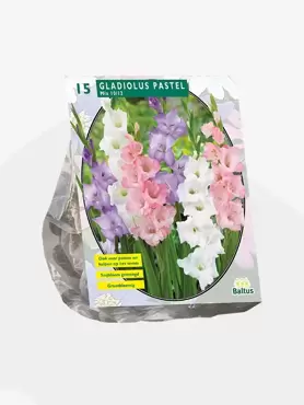 Gladiolus Pastel Mix per 15 stuks