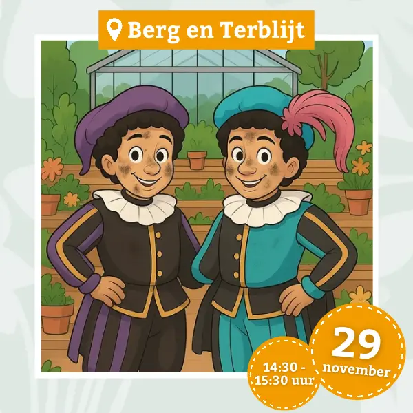 Pietenmiddag Berg en Terblijt 29 november 14:30 tot 15:30