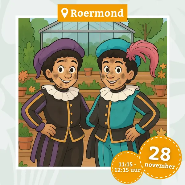 Pietenmiddag Roermond 28 november 11:15 tot 12:15