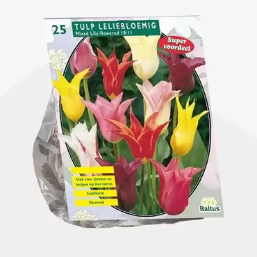 Tulipa Leliebloemig, Mix Per 25