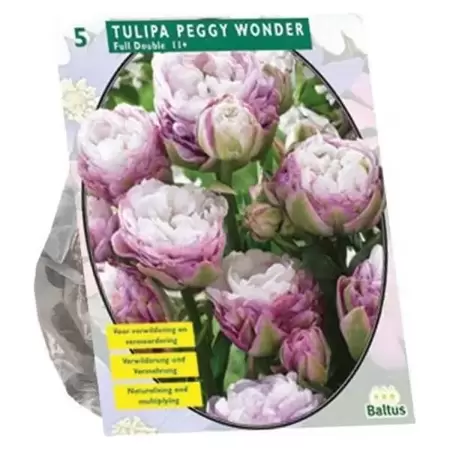 Tulipa Peggy Wonder Per 5