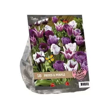Urban Flowers Proud & Purple per 18