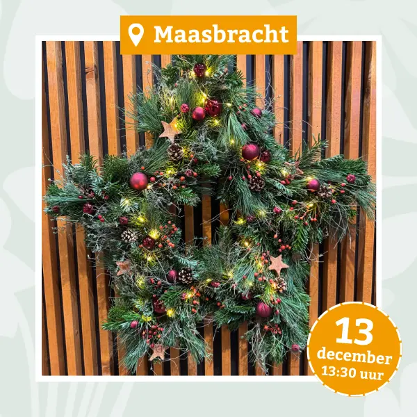 Workshop Maasbracht 13 december