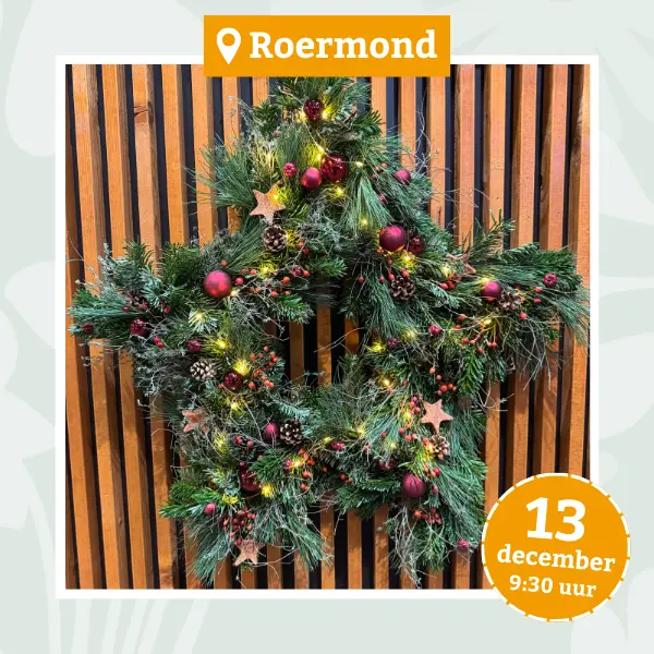 Workshop Roermond 13 december